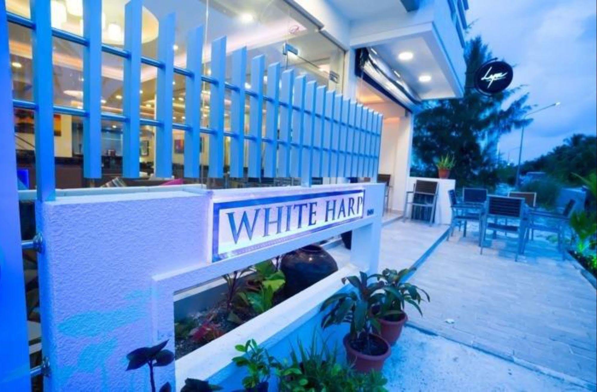 The White Harp Beach Hotel Male Exterior photo
